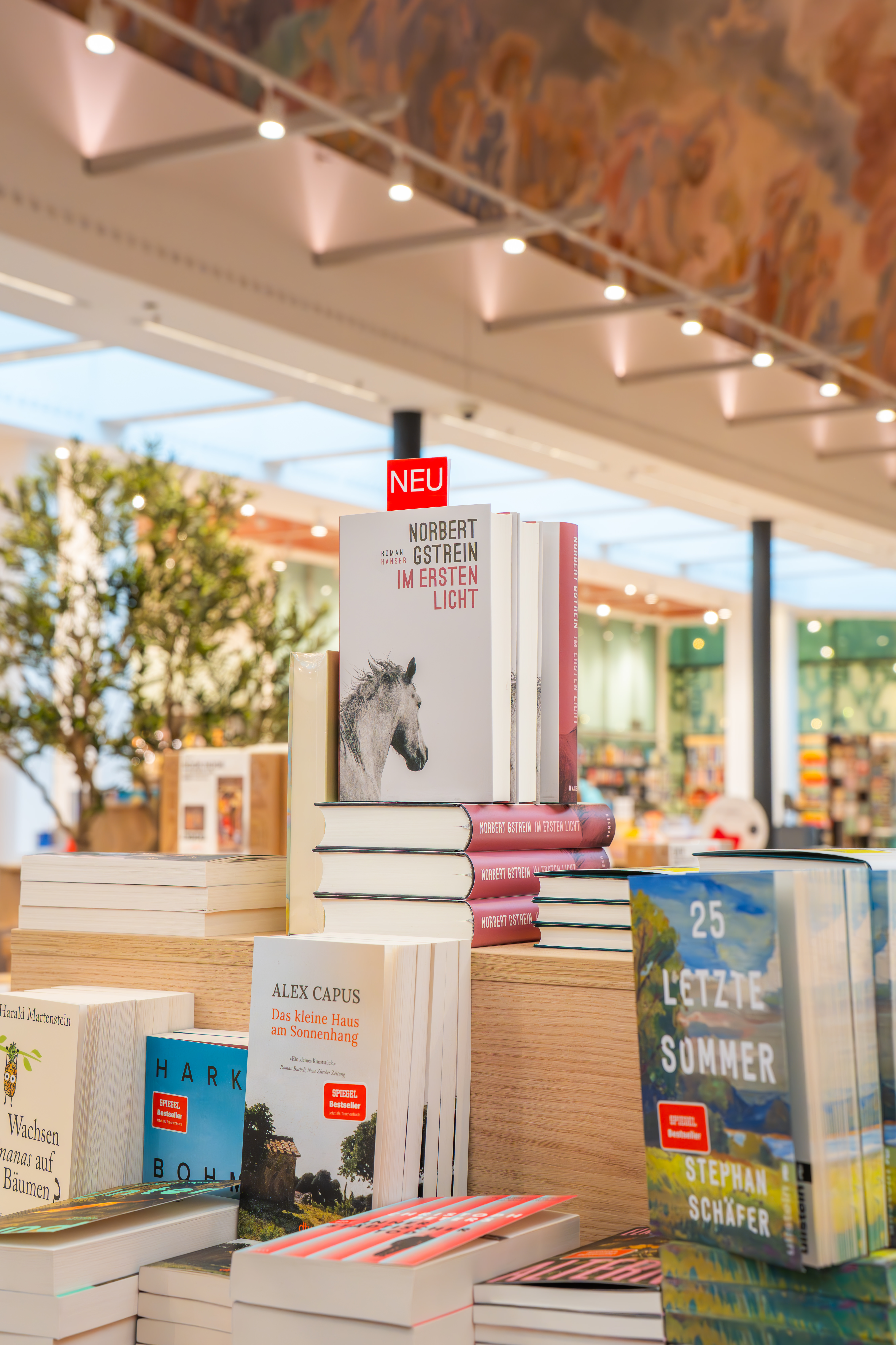 HugendubelFnfHfe202610